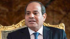 Egypt's el-Sissi cruises to reelection amid domestic, international turmoil