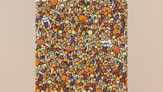 Can you find the 3 birds hidden in this fruit-filled puzzle?