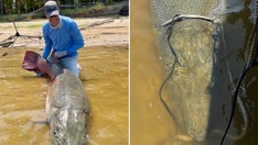 'Monster' 283-pound alligator gar caught in Texas could set two fishing records