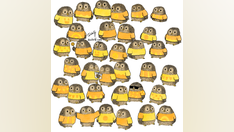 Brain teaser: Can you find the owl without his sweater-matching buddy?