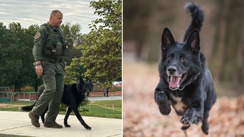K-9 who served for 8 years, helped catch murderer honored at retirement party