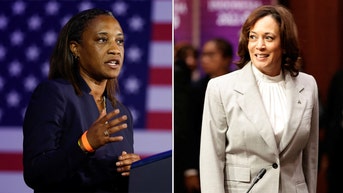 Incoming Democrat senator tells Kamala Harris critics to 'cut the bulls--t'