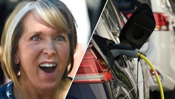 Blue state takes aim at gas cars in latest mandate