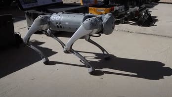 New breed of military AI robo-dogs could be the Marines' secret weapon