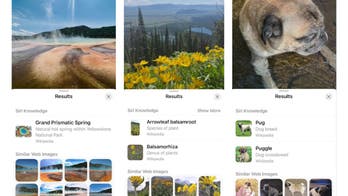 How to use ‘Visual Look Up’ feature on iOS 17 to find information easily