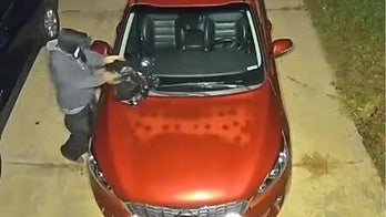 Person captured on Ring camera dumping raccoon corpse on Massachusetts woman's car before ditching scene