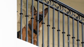 Insiders claim first dog Commander's aggression even worse than disclosed: report