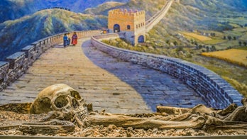 NYC's Museum of Natural History to pull human remains from public display