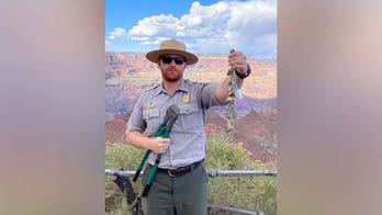 Grand Canyon 'love locks' put wildlife in danger, park says