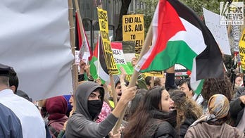 Pro-Palestinian protesters blame Israel for Hamas terror attack in 'repugnant' demonstrations