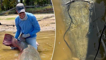 Alligator gar caught in Texas weighing 283 pounds shatters multiple records: 'Four in one fell swoop'