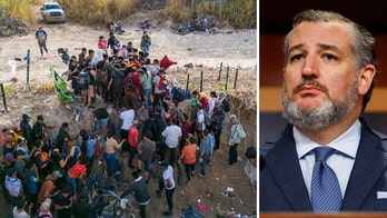 Cruz demands answers from TSA over 'concerning' deployment of air marshals to southern border