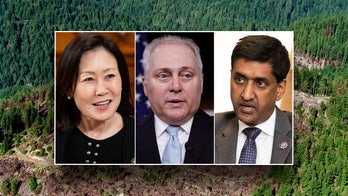 GOP, Dems urge Biden admin to defend US businesses from Europe's eco regulations: 'Higher prices'