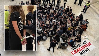 Inside the chaos on Capitol Hill as hundreds of pro-Palestinian Jews arrested: 'A moral catastrophe'