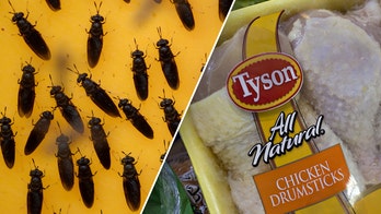 Tyson Foods investing big in bug protein for new venture
