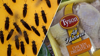 Tyson Foods investing big in bug protein for new venture