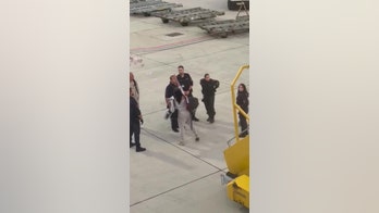 Airplane drama, including 'fierce argument' between couple, results in diverted flight, police presence