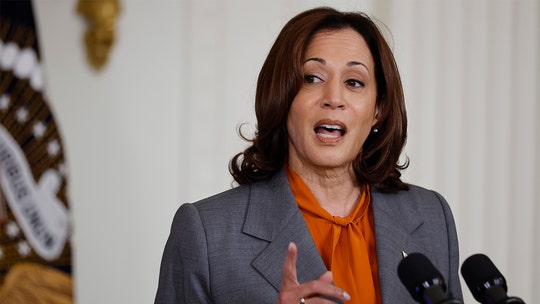 Focus group of voters offer ‘brutal’ take of VP Harris: Not ‘someone I want running my country’