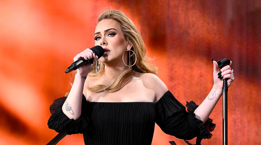Adele stops mid-performance to yell at security for bothering a fan