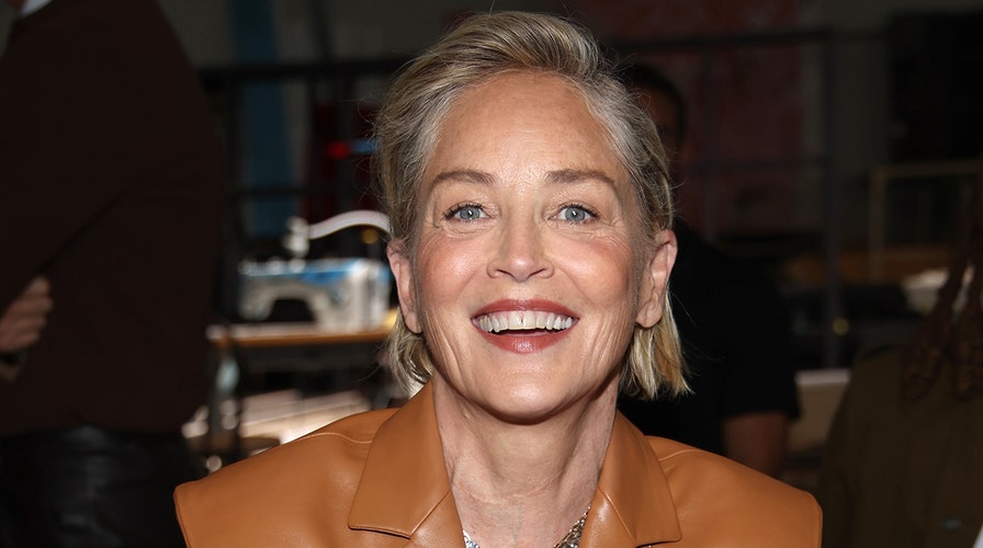 Sharon Stone's 'The Beauty of Living Twice' Memoir: 'Basic Instinct,'  Health Scares and More Takeaways – The Hollywood Reporter