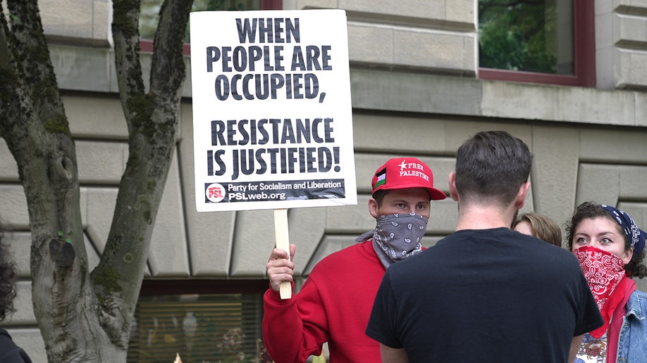 Man in red hat and gray mask holds pro-Palestine sign