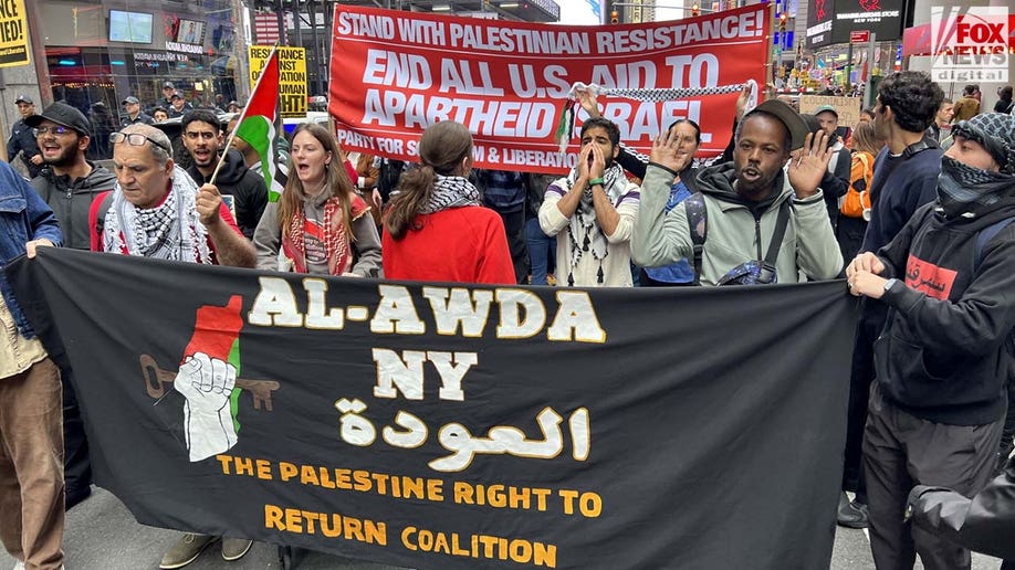 Democratic Socialists of America banners