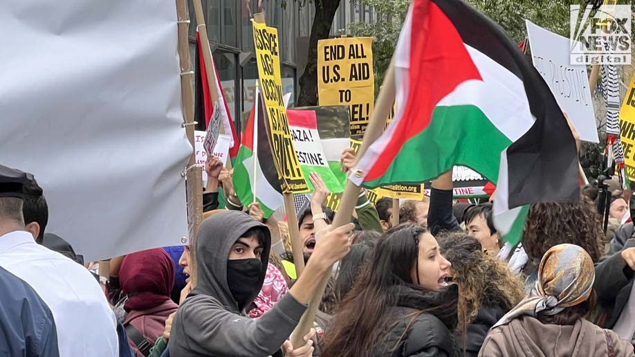 Pro-Palestinian protesters Midtown East