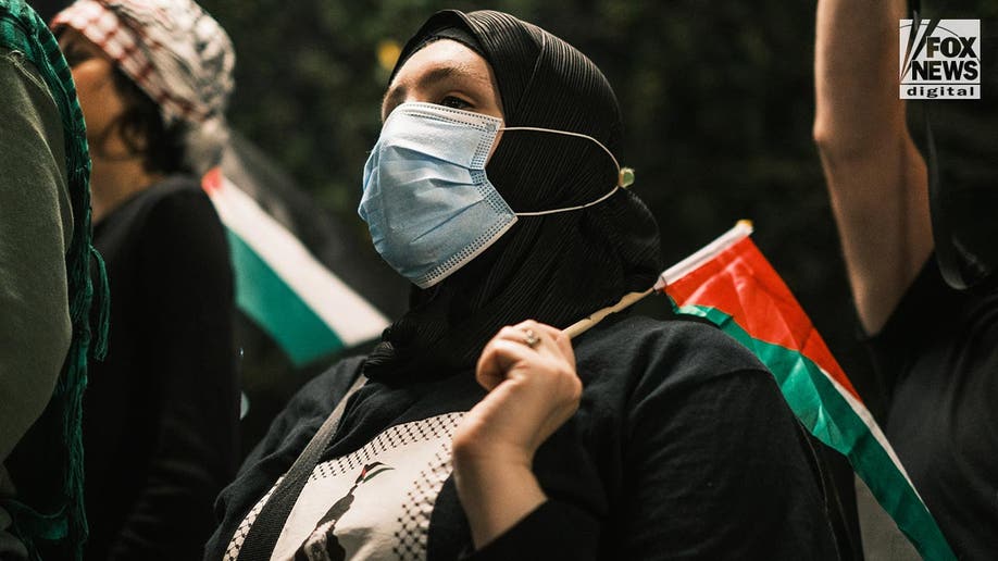 Pro-Palestinian demonstraters in New York City