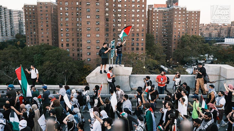 Pro-Palestinian demonstraters in New York City
