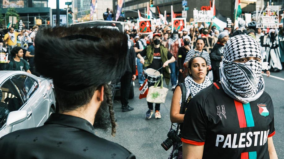 Pro-Palestinian demonstraters in New York City