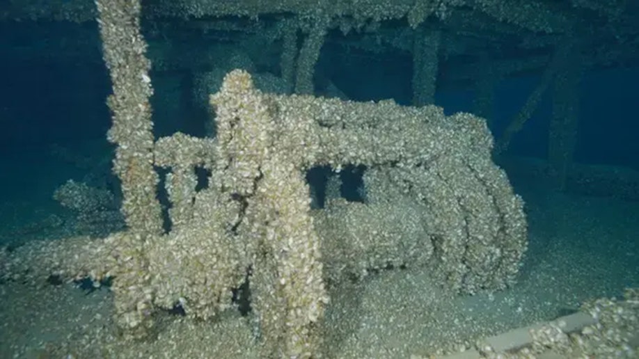 The Africa Shipwreck found