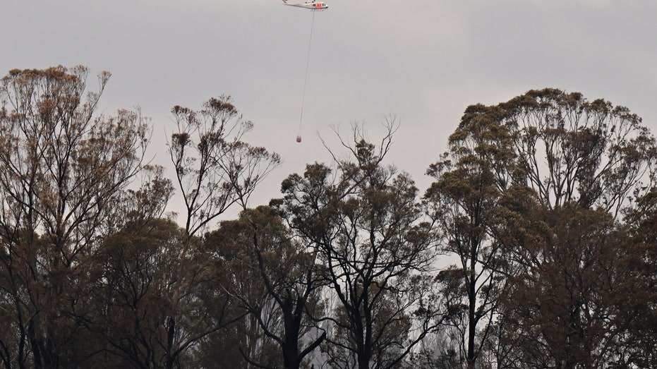 Forest fire devastates 3 residences in southeastern Australia, injuring man struck by falling tree