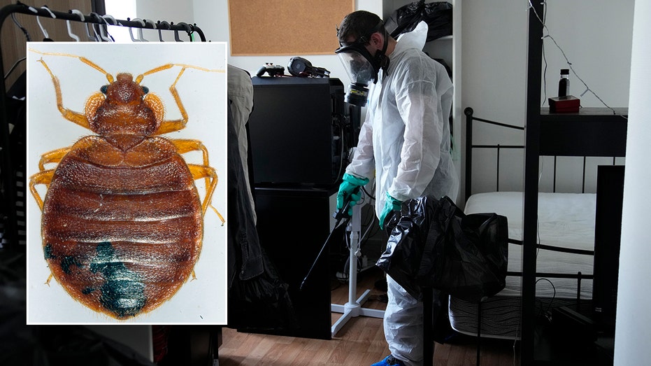 French officials plagued by bedbugs hold emergency meeting ahead of hosting Paris Olympics: ‘It’s hell’