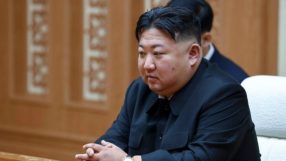 Thousand of remote IT workers for US companies sent wages to North Korea to fund weapons programs, FBI says