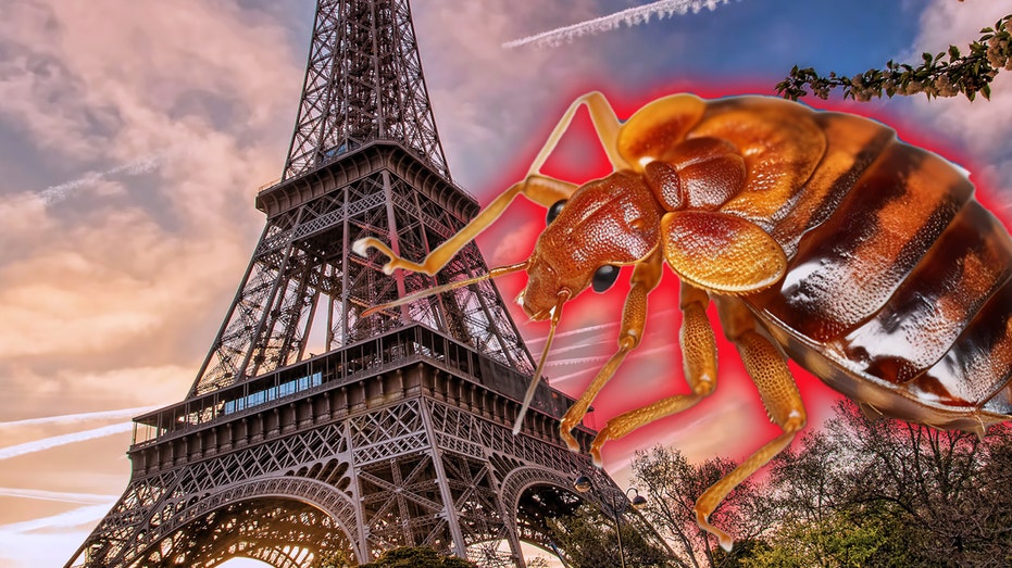 Paris resident feels like a 'plague victim' as bedbug infestation crawls into public spaces