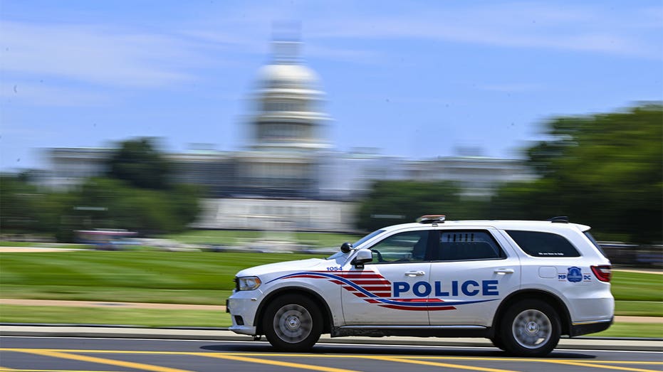 DC police cracking down on recent wave of porch pirates with sting operations: ‘Sending a message’