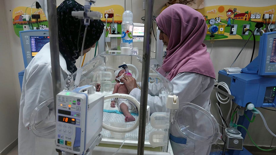 Gaza hospital doctor says nearly 10 babies at risk of dying soon over fuel shortages