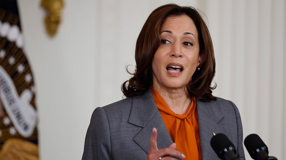 Kamala Harris agrees 2024 could ‘genuinely’ be the ‘last democratic election’