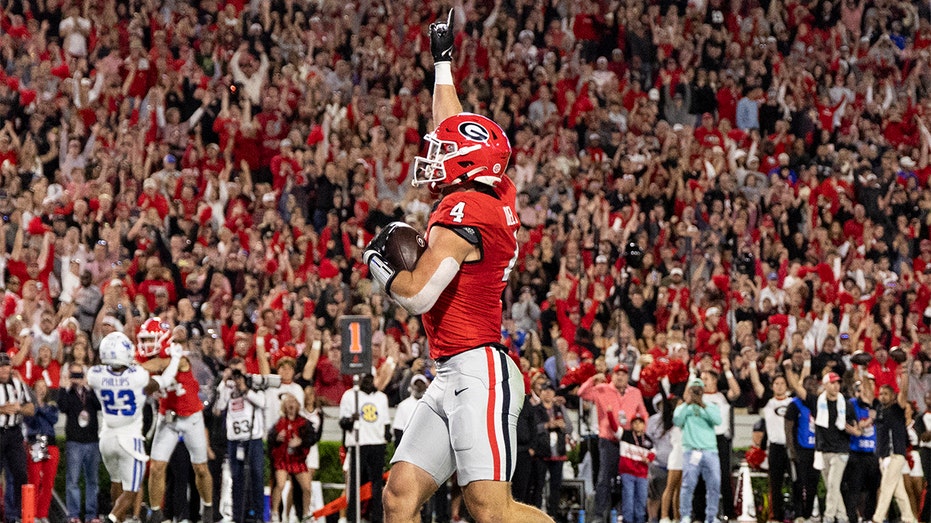 The dog of Georgia TE Oscar Delp was going through it during the NFL Draft
