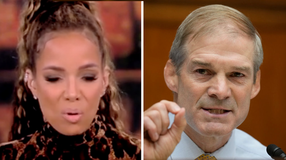 'The View's' Sunny Hostin claims Jim Jordan 'terrorized' her at a congressional hearing