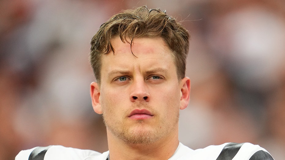 What former NFL QB Jordan Palmer expects Joe Burrow to accomplish