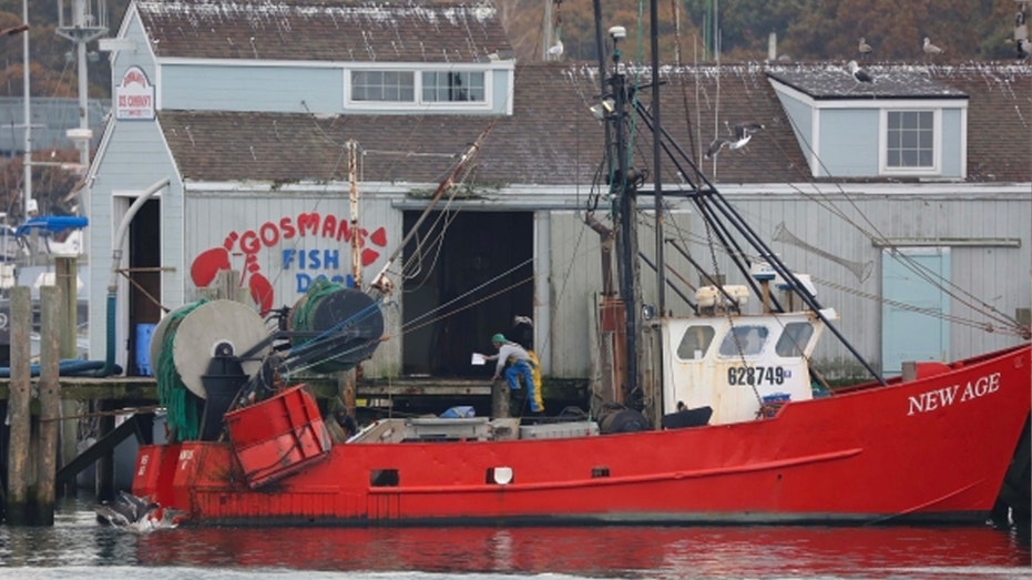 Small town fisherman harpooned on federal charges for catch that's legal in other states: lawyer