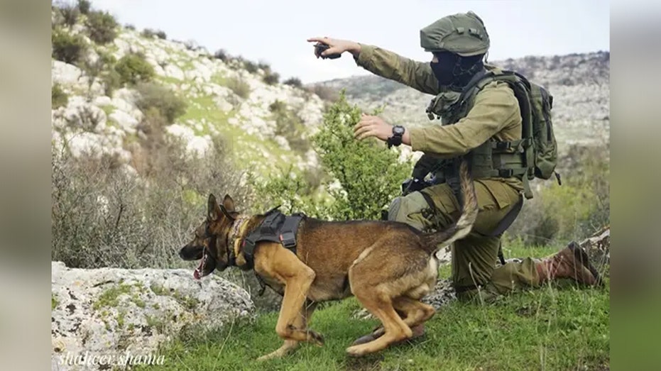 Hero Israeli K-9 unit credited with rescue of over 200 civilians during Hamas terror attack