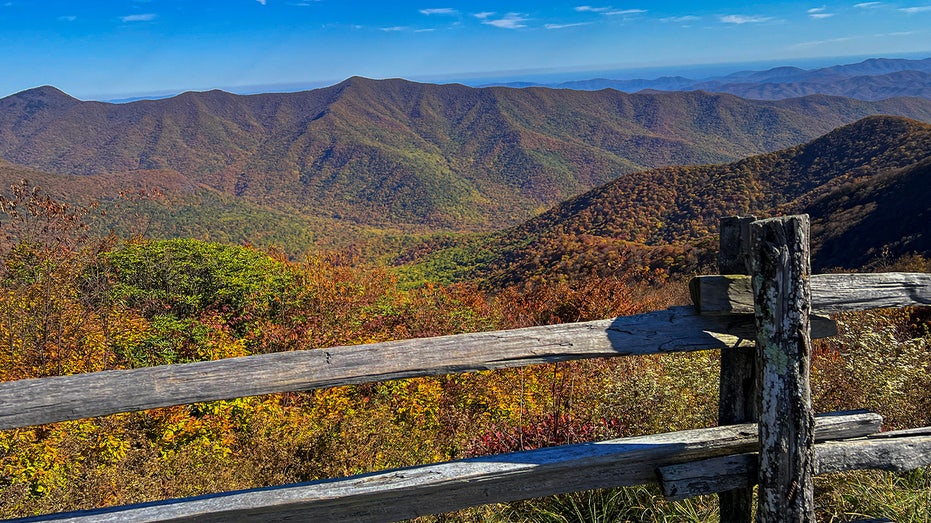 Section of North Carolina's Blue Ridge Parkway closed after visitors interacted with bears