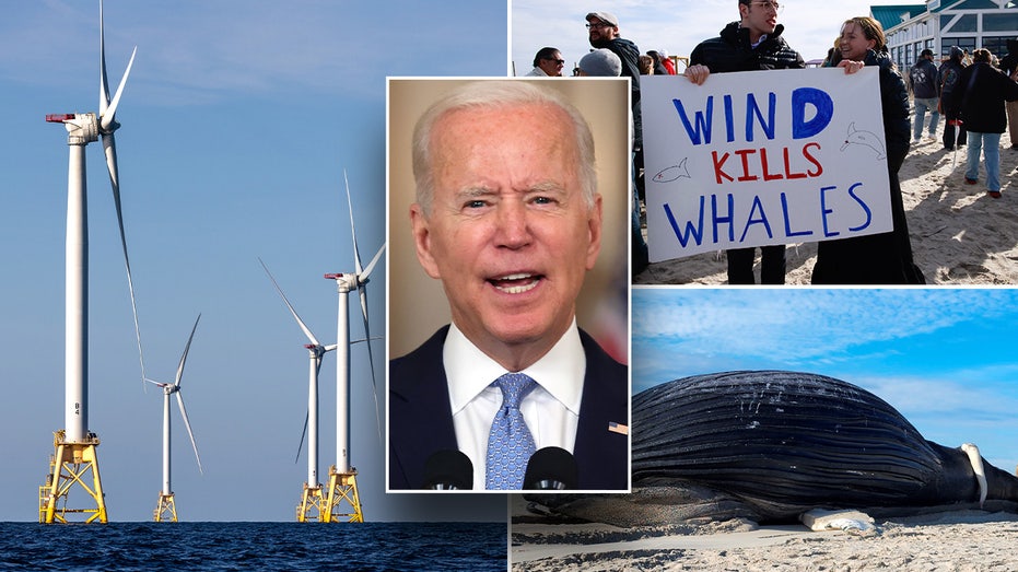 Biden admin hit with lawsuit over offshore wind plans as locals rise up