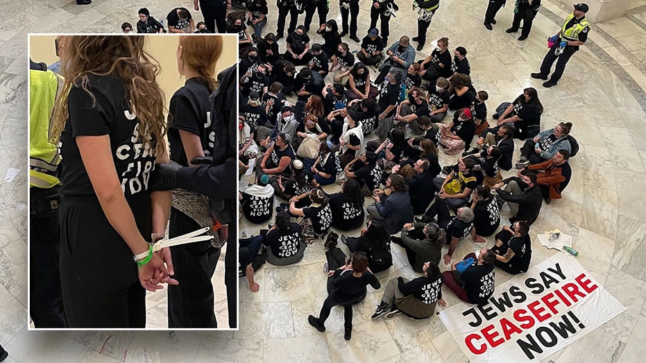 Inside the chaos on Capitol Hill as hundreds of pro-Palestinian Jews arrested: 'A moral catastrophe'