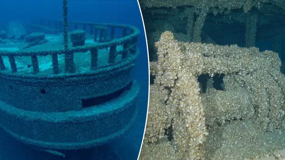 Missing shipwreck found after 128 years thanks to invasive species of mussels