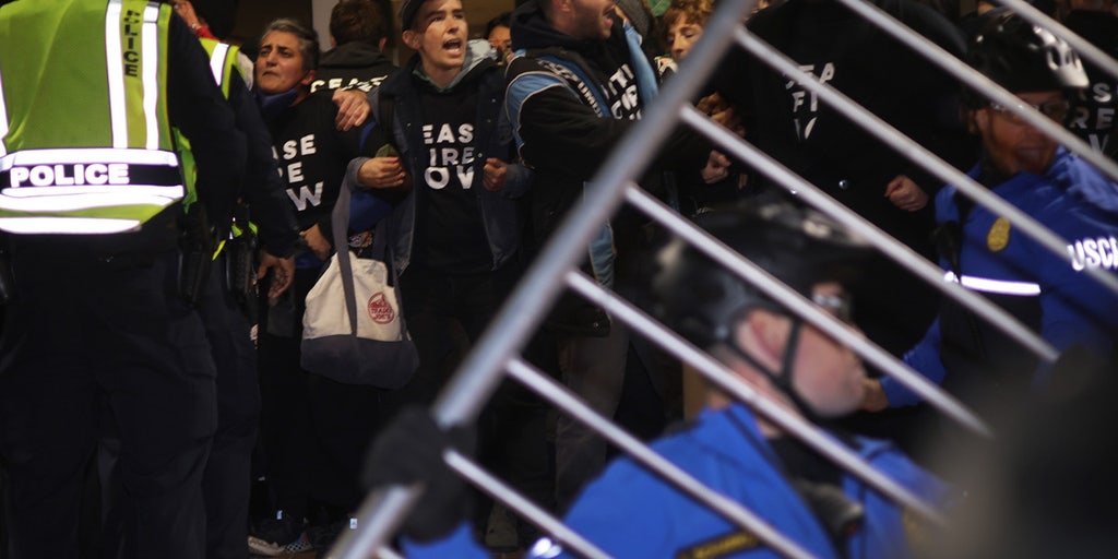 DOJ takes heat for charging elderly pro-life activist while ignoring DNC rioters - Vimarsana News