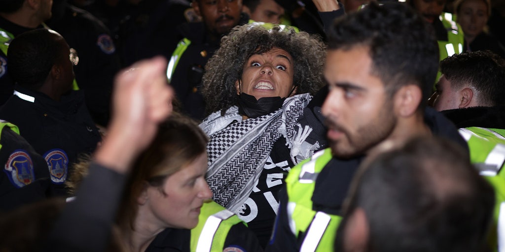 Pro-Palestinian violent protest erupts outside DNC headquarters in Washington DC, Capitol police injured - Vimarsana News