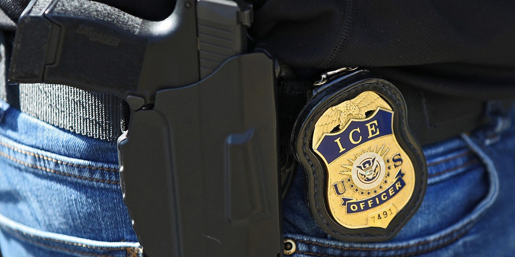 ICE arrests Romanian fugitive convicted of murder, released from custody after crossing southern border - Vimarsana News